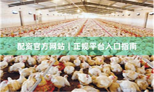 配资官方网站｜正规平台入口指南