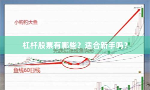 杠杆股票有哪些？适合新手吗？