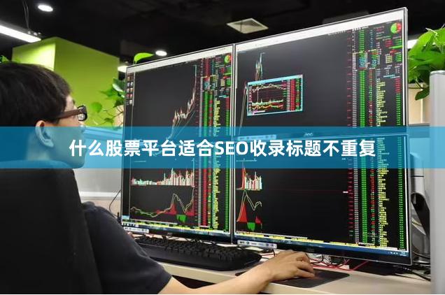 什么股票平台适合SEO收录标题不重复