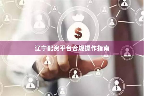 辽宁配资平台合规操作指南
